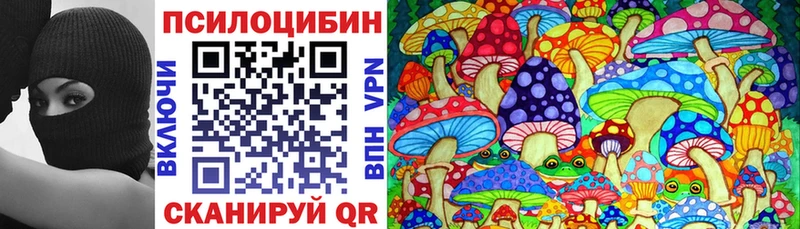 дарнет шоп  Циолковский  даркнет как зайти  Галлюциногенные грибы Psilocybe 